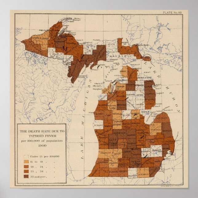 110 Typhoid fever Michigan Poster (Front)