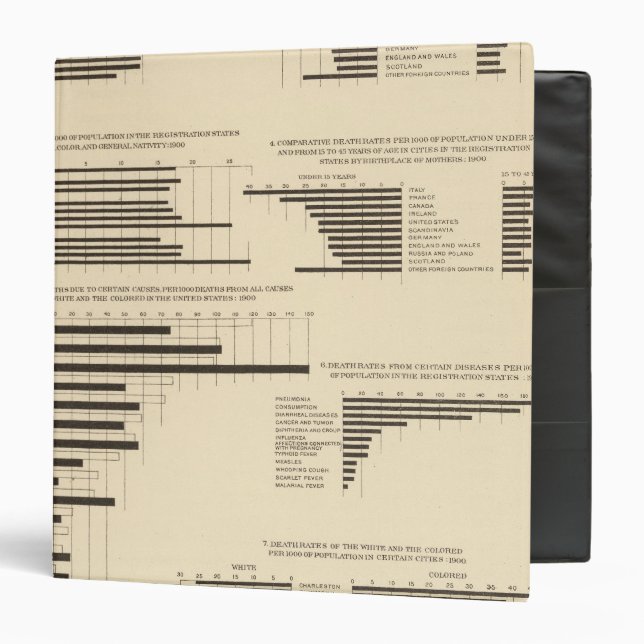 111 Death rates 1900 3 Ring Binder (Front/Inside)