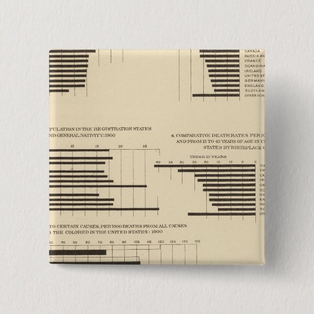 111 Death rates 1900 Pinback Button (Front)