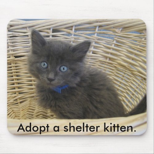 112907 petfinder 028 Adopt a shelter kitten Mouse Pad
