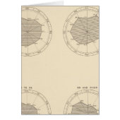 113 Deaths by month 1900 (Front)