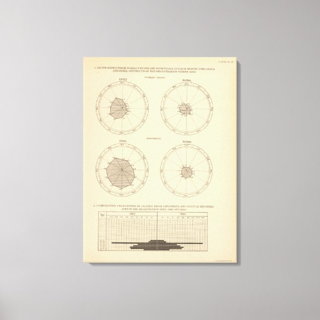 115 Deaths scarlet fever, diphtheria Canvas Print (Front)