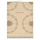 116 Deaths whooping cough (Front)