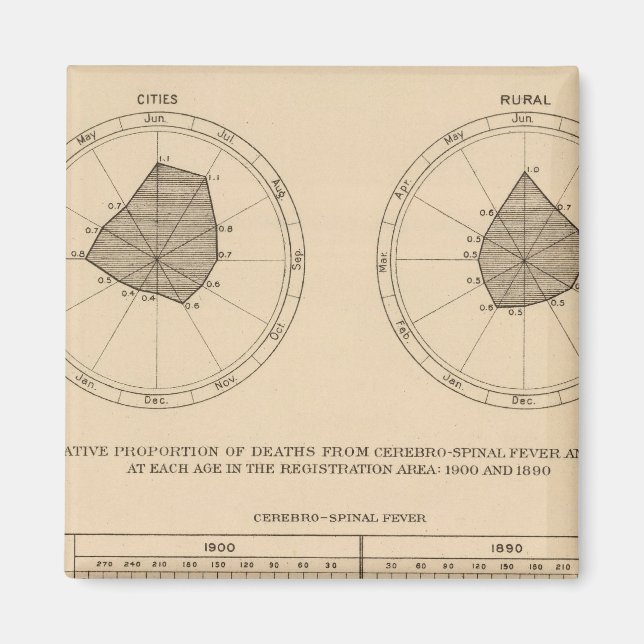 118 Deaths cerebrospinal fever Magnet (Front)