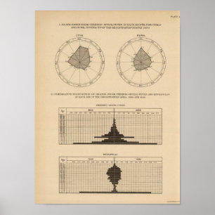 118 Deaths cerebrospinal fever Poster