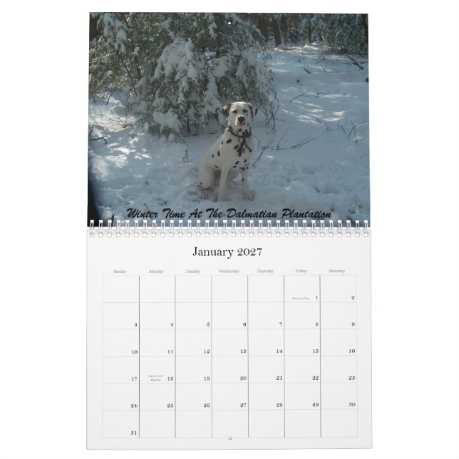 11-2008_02, The Double D Dalmatian... - Customized Calendar (Jan 2027)