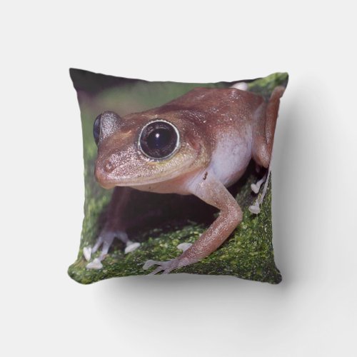11_female tree frog throw pillow