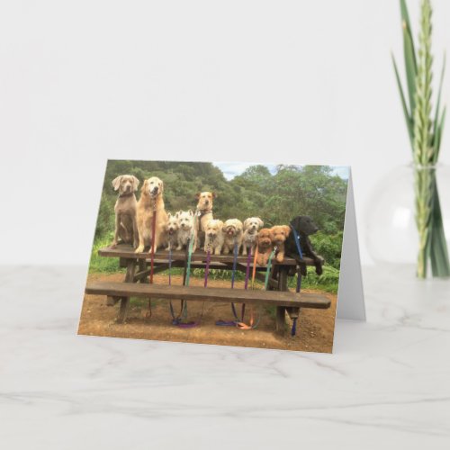 11 Pups in a Row Say Cheese _ Greeting Card