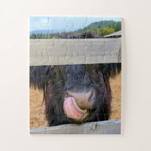 11”x14” Puzzle 30 pc Easy    Scottish Highland