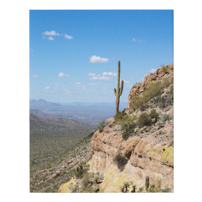 11 x 14 Faux Wrapped Canvas Saguaro on a mountain (Front)
