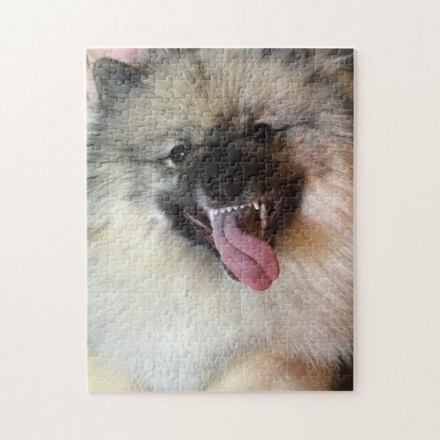 keeshond puzzle