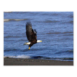 11" x 8.5", Kodak Professional Photo Paper (Satin) Print