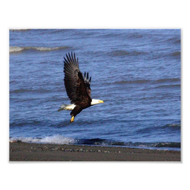 11" x 8.5", Kodak Professional Photo Paper (Satin) Print (Front)