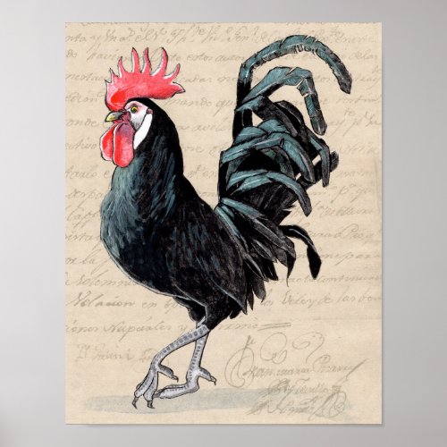 11x14 Black Rooster Print