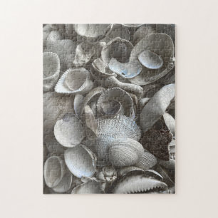 11x14 Shells Puzzle for Colorblind People