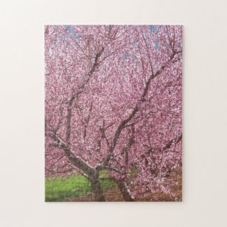 11x14 Spring Peach Blossom Puzzle with Gift Box