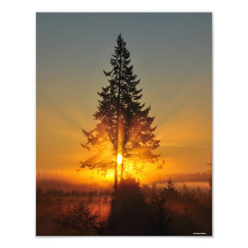 11X14 Sunrise in the Great Northwest Photo Print