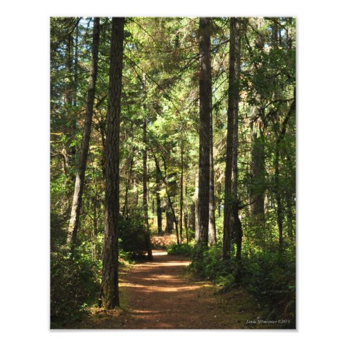 11x14 Trail _ Huff N Puff in Shelton WA Photo Print