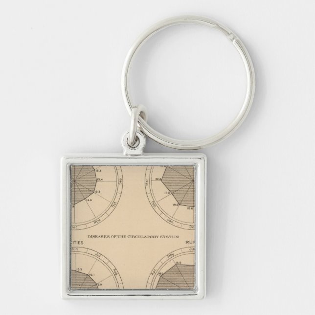 122 Deaths diseases nervous & circulatory system Keychain (Front)
