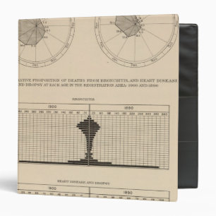 123 Deaths diseases respiratory system, bronchitis Binder