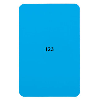123 MAGNET