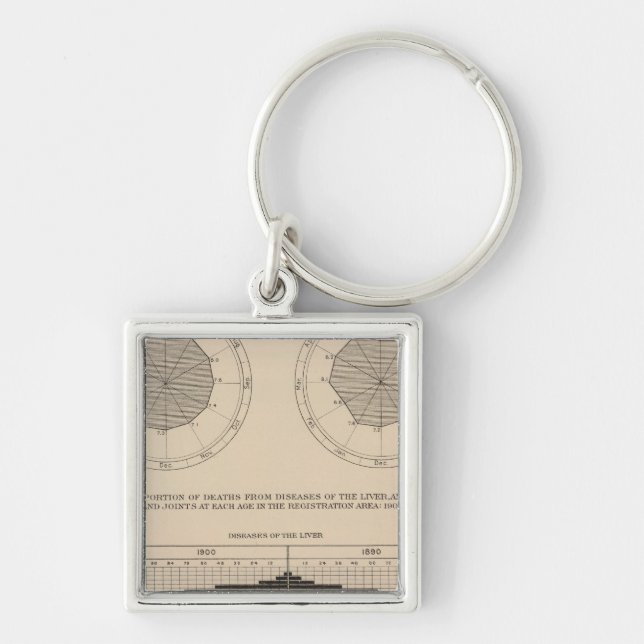 124 Deaths diseases digestive system, liver Keychain (Front)