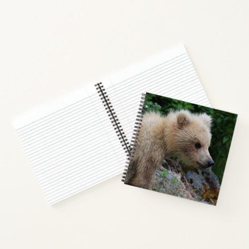 128s Littlest Cub _ Notebook