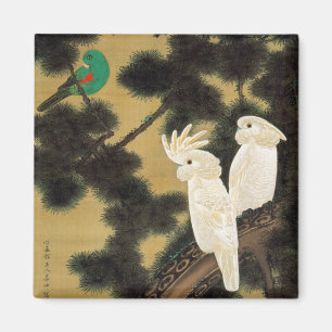12. 老松鸚鵡図, 若冲 Pine-tree & Parrot, Jakuchū Magnet