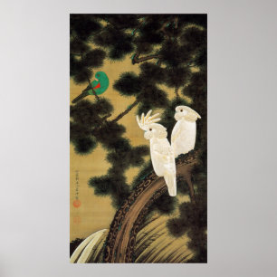 12. 老松鸚鵡図, 若冲 Pine-tree & Parrot, Jakuchū Poster