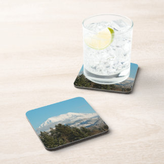 12/22/2014 DRINK COASTER