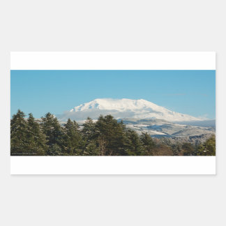 12/22/2014 RECTANGULAR STICKER