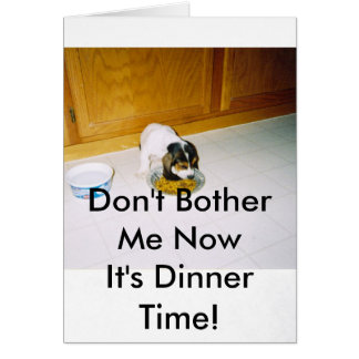 12-30-2008 06;09;30PM, Don't Bother Me NowIt's ... Cards