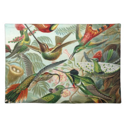 12 american humming birds breeds painted drawn cloth placemat