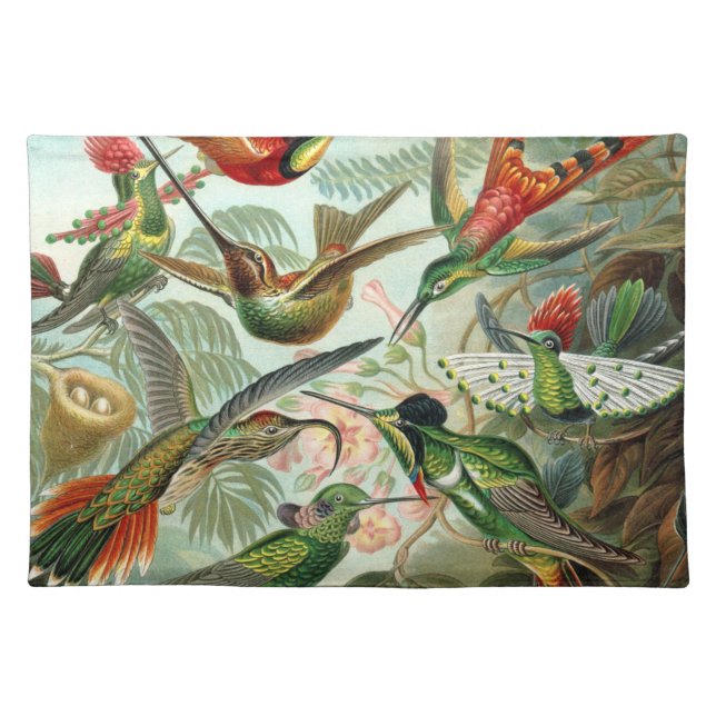 12 american humming birds breeds painted drawn cloth placemat (Front)