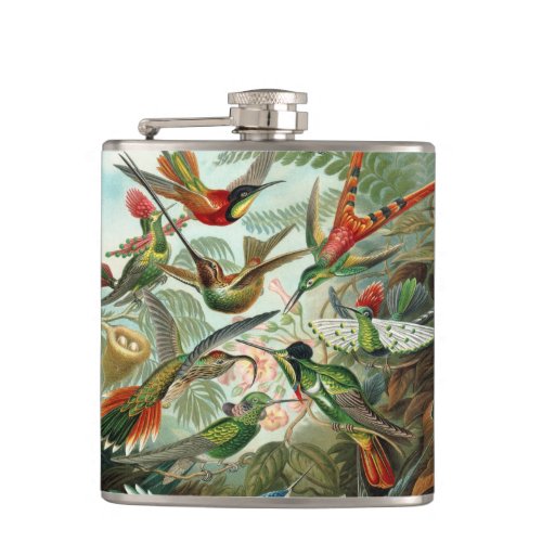 12 american humming birds breeds painted drawn flask