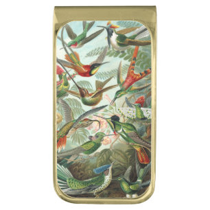 12 american humming birds breeds painted drawn gold finish money clip
