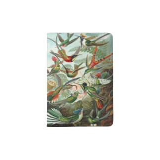 12 american humming birds breeds painted drawn passport holder