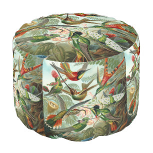 12 american humming birds breeds painted drawn pouf