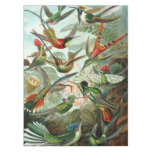 12 american humming birds breeds painted drawn tablecloth