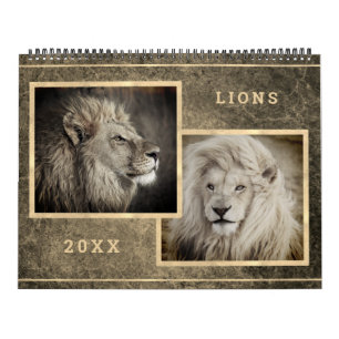 12 Beautiful Lions Photo Images Calendar