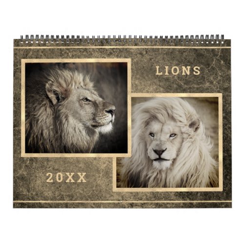 12 Beautiful Lions Photo Images Calendar
