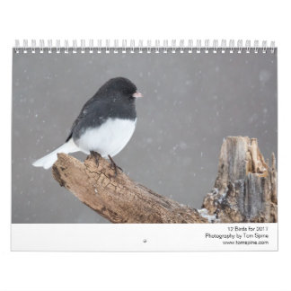 12 Birds for 2017 (Caption Fixed) Calendar