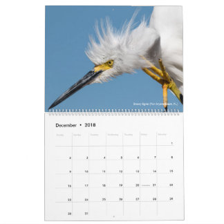 calendars photography