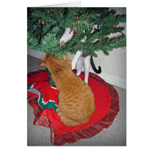 12 Cats a-Climbing Cards (Front)