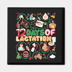 12 Day Of Ibclc Lactation Consultant Breastfeeding Magnet