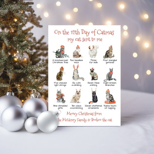 12 days of Catmas Christmas Cat Holiday Card