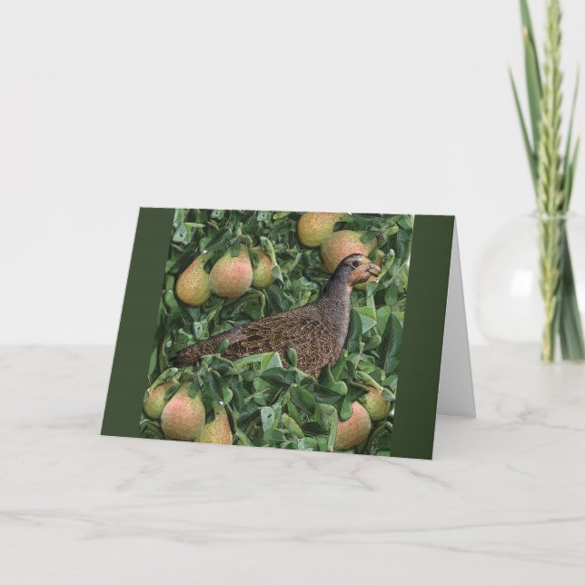 12 Days of Christmas - Partridge in a Pear Tree Holiday Card (Front)