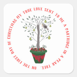 12 Days of Christmas Partridge in a Pear Tree Square Sticker