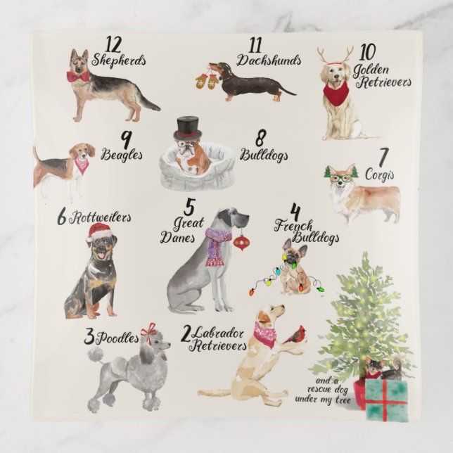 12 Dogs of Christmas in Holiday Attire Trinket Tray (Front)