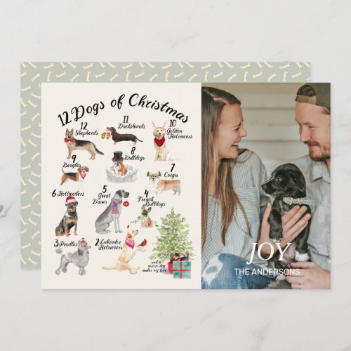 12 Dogs of Christmas Joy Holiday Photo Card